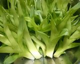 カンゾウのおひたし(味付けはご自由に)作り方3写真