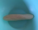 簡単ラクラク☆手作りパイシート作り方4写真