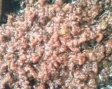 ヘルシー☆肉みそのせ豆乳ふろふき大根作り方3写真