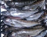 あまごの炊き込みご飯&五目炊き込み作り方1写真