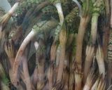つくしの煮物。超簡単！作り方1写真