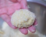 爆発しない衣で簡単に！ホタテフライ作り方3写真