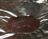 簡単巻くだけチキン作り方5写真