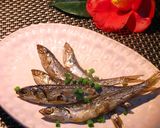 魚を美味しく★先ずは干物で<・)))＜作り方3写真