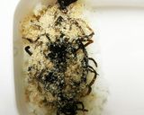 息子のお弁当作り方1写真