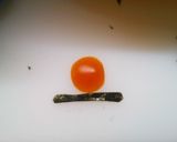 ふうせんいぬティニー作り方5写真