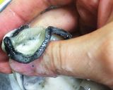 牡蠣のホイル焼き^ ^作り方10写真