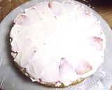 新幹線ケーキ☆Ｅ７系かがやき作り方12写真