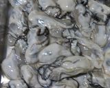 牡蠣のカンタン塩辛作り方10写真
