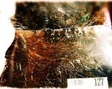 ♡トロネバ～なギバサ♪アカモク♡作り方1写真