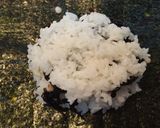 天かすと昆布の佃煮のおにぎらず作り方7写真
