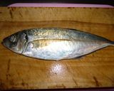 アジの刺身作り方1写真