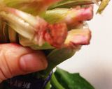 常備菜にナムル3種♡便秘解消しましたぁ♬作り方1写真