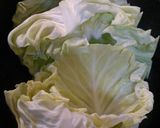♪温野菜のゼリー寄せ♪作り方2写真