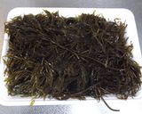 銀葉草（ぎんばそう）の下ごしらえ作り方2写真