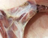 フライパンで出来た！まぐろカマの塩焼き作り方1写真