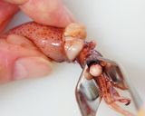 ホタルイカと新じゃがのオイスター炒め作り方6写真