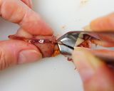 ホタルイカと新じゃがのオイスター炒め作り方8写真