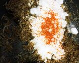 常温保存OK しらすのピリ辛甘辛煮☆作り方5写真