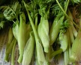 春5番目の山菜・シャクのおひたし（＾＾）作り方3写真