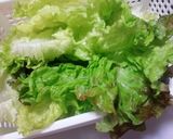男性受け最高！やみつきレタスのサラダ作り方1写真