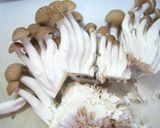 生産者さん推薦☆しめじのマヨ醤油炒め☆作り方1写真