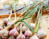 絶品☆丸ごと島にんにくの甘醤油焼き☆作り方1写真
