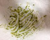 湯種で作る チーズサンドパン作り方5写真