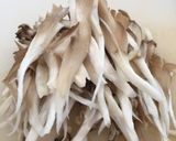 蕪ときのこの和風パスタ作り方4写真
