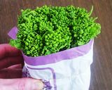 菜の花のおかあげ作り方1写真
