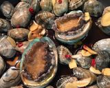中華前菜 アサリとレモンと紹興酒作り方5写真