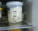 新たまねぎのピクルス　トルコ風作り方5写真