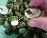 磯の巻き貝類の(薄蓋貝)★楽な取り出し方作り方1写真
