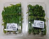 春の味☆こごみとこしあぶらの天ぷら作り方1写真