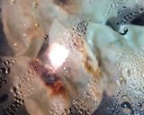 豚ひき肉とピリッと生姜の 手作り 餃子作り方10写真