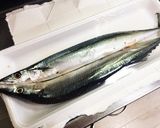 絶品♡ さんまの甘露煮 *圧力鍋使用*作り方1写真