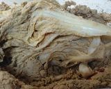 【ぐうたら】白菜漬けと肉だんごの鍋作り方2写真