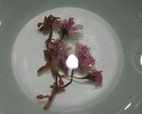 ★ＳＡＫＵＲＡ★作り方1写真