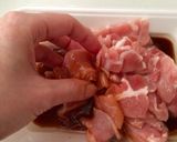 豚肉、キャベツとピーマンの甘辛炒め作り方1写真
