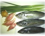 アジのたたき&絶品茶漬け作り方1写真