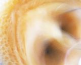 簡単☆しっかり共立てで!スポンジケーキ作り方2写真