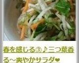 春を感じる③♪三つ葉香る～爽やかサラダ❤作り方5写真