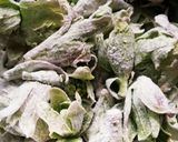 ふきのとう天ぷら作り方1写真