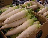 めっけもん♪大根のドライカレー作り方1写真