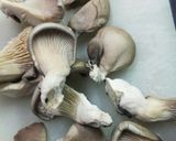 ささみのステックフリッター◆隠し味はマヨ作り方4写真