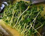 豆苗のナムル作り方1写真