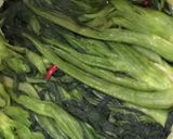 高菜漬け作り方4写真