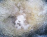 空のペットボトルで、楽チン、水パスタ♪作り方8写真