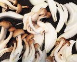 新たまねぎ!ポークケチャップ!作り方3写真