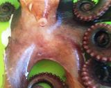 新鮮たこ☆明太マヨバジル添えサッパリ食べ作り方3写真